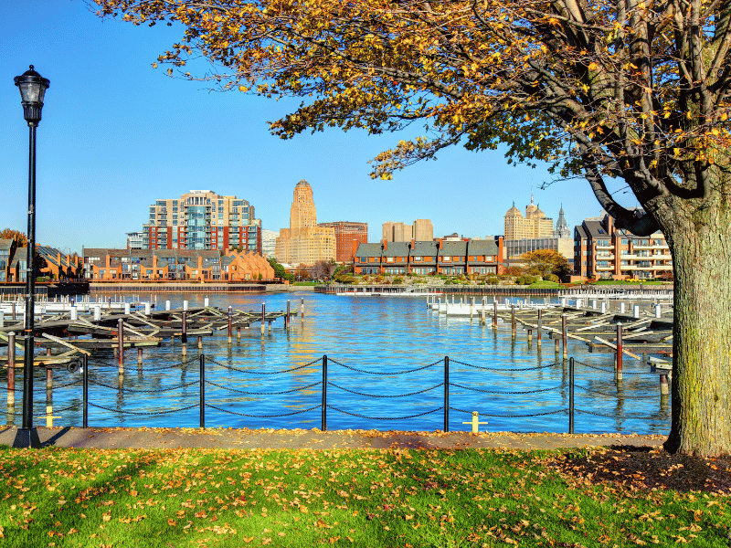 park in buffalo during a weekend trip. 