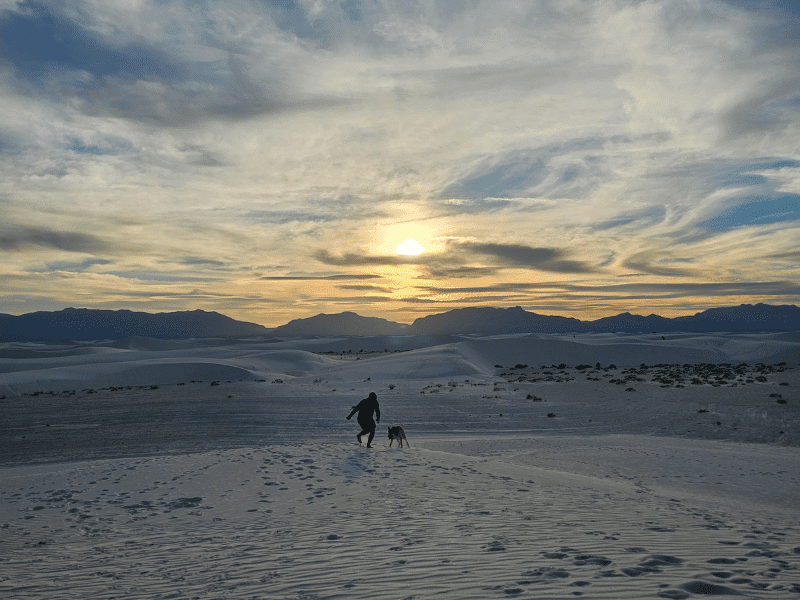 person and dog running in the dunes at sunset. 