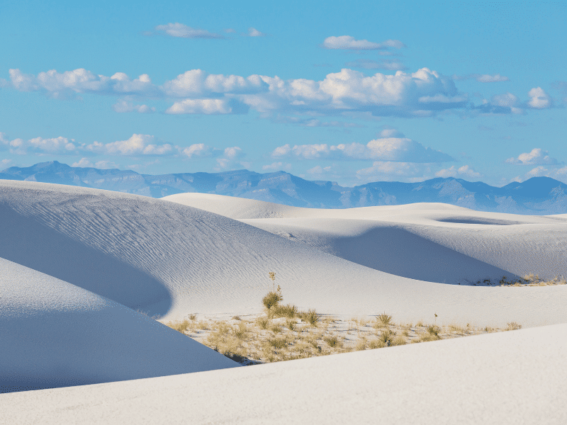 sand dunes at white sands national park on a sunny day. 