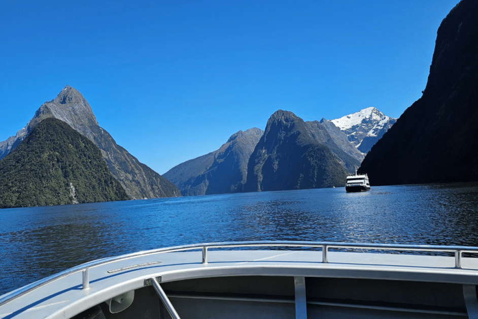 views of a milford sound cruise. 