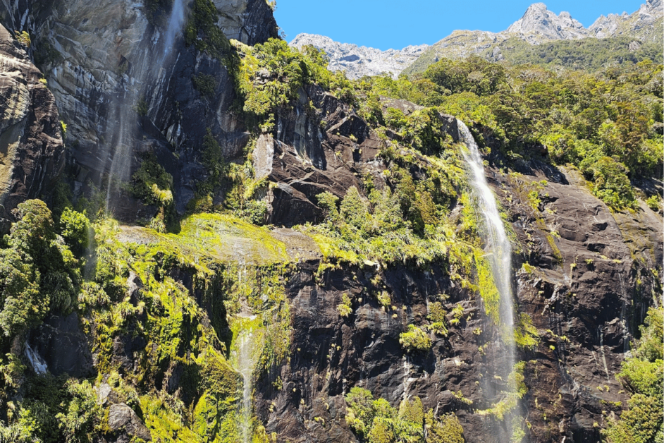 waterfalls on boat ride in Milford Sound. 