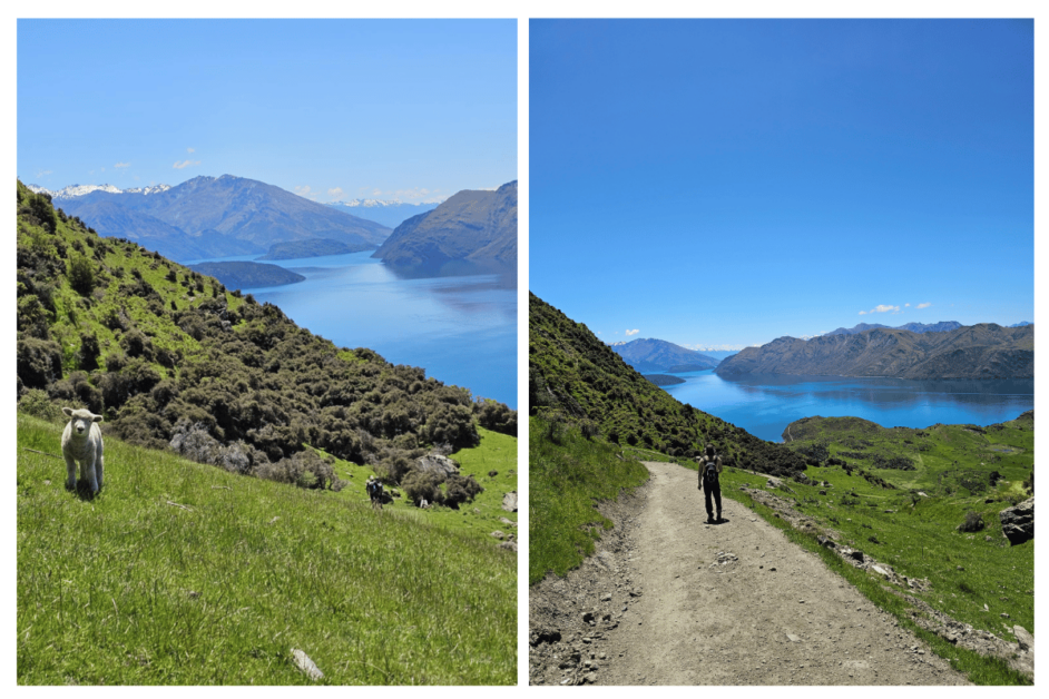 Views along roys peak hike in wanaka. 