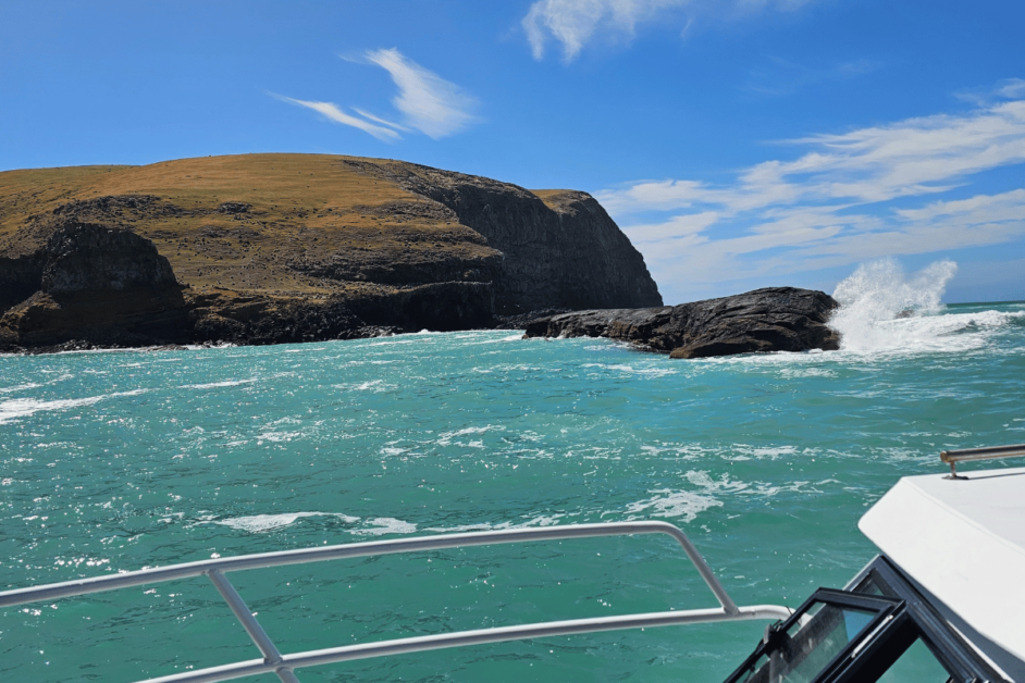 blue water on a dolphin cruise in akaroa. 