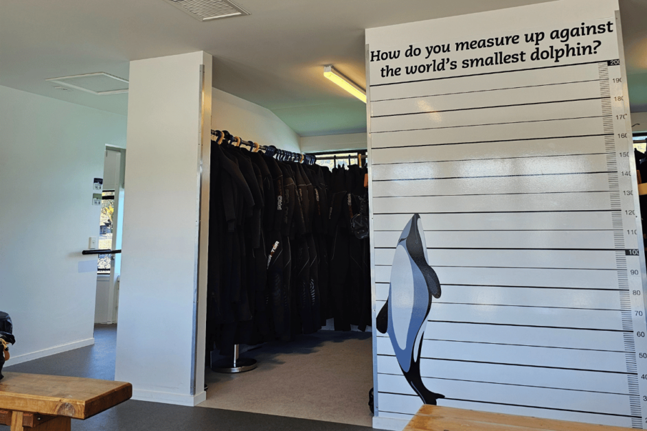 inside of black cat cruises- wet suit closet. 