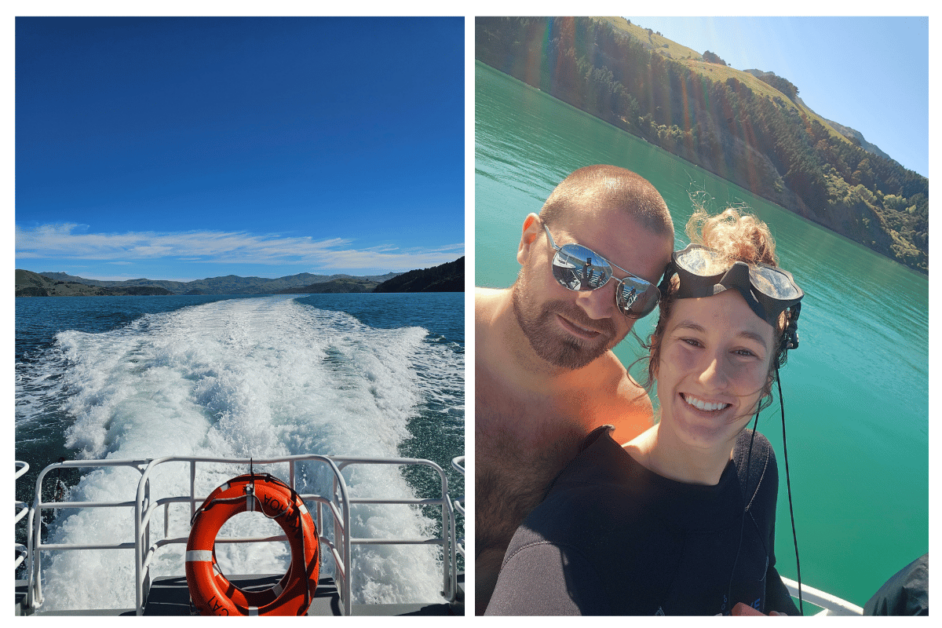 two people swimming with dolphins in new zealand. 