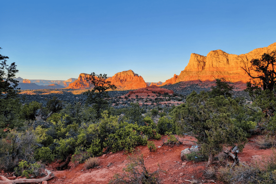 A breathtaking view of Sedona's red rock formations bathed in golden light, possibly at sunrise or sunset. The rugged terrain is dotted with green vegetation under a clear blue sky.