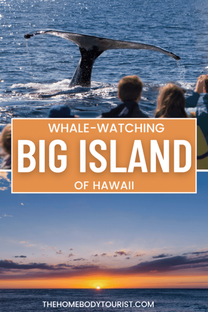 best whale watching tours on the big island of hawaii. 