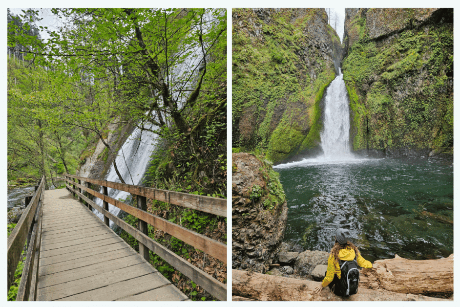 waterfalls along the columbia river gorge. 