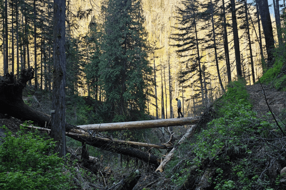 hiking in the columbia river gorge. 
