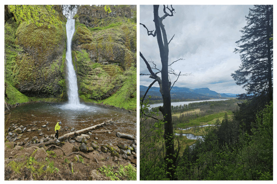 horsetail falls and trail to ponytail falls. 