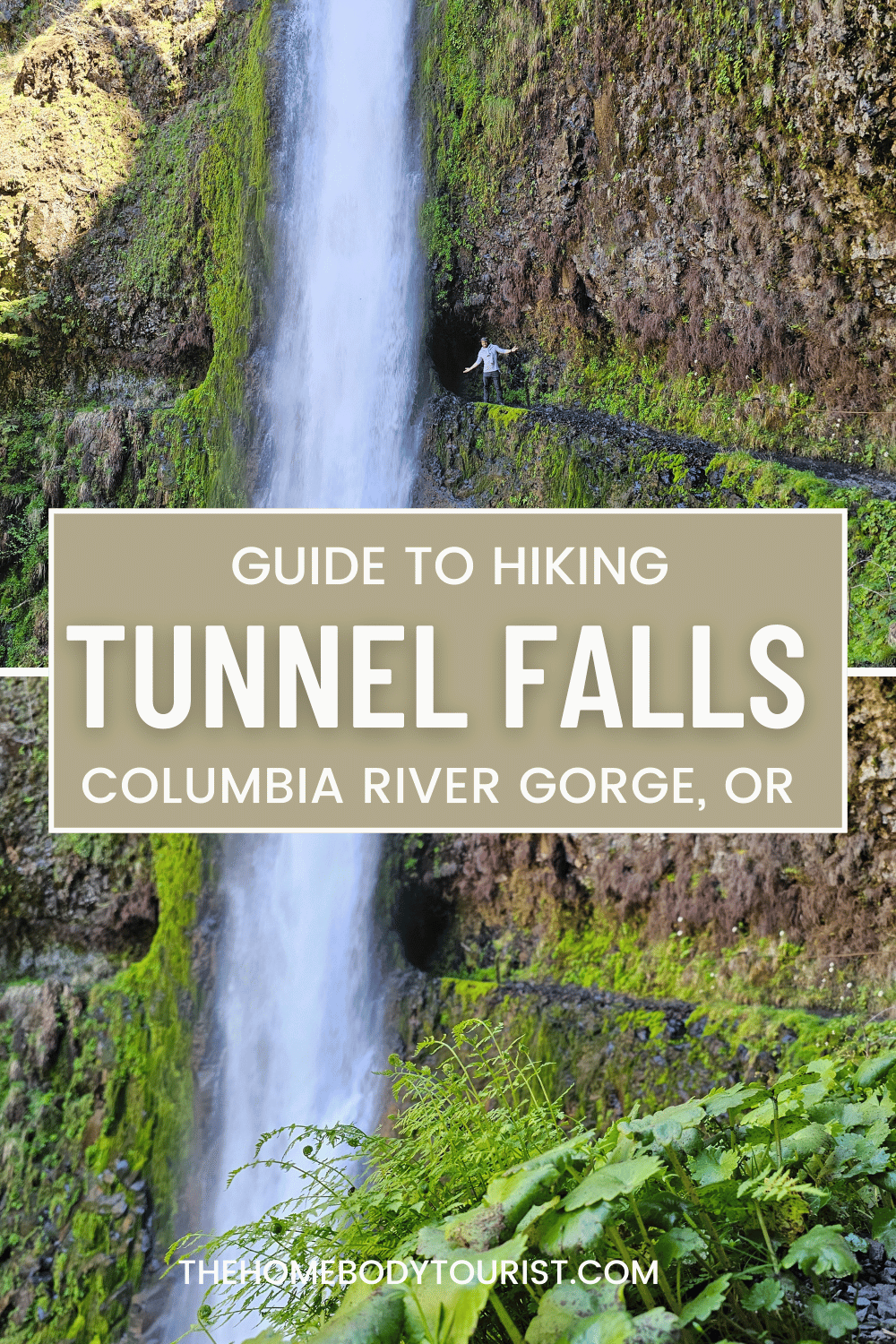 Tunal Fall The Magic Of Tunnel Falls: Guide to Hiking Oregon’s Iconic Eagle Creek ...