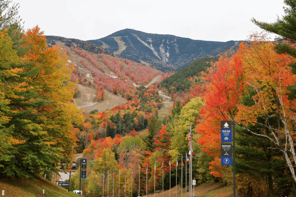 Fall in Lake Placid . View from Whiteface Mountain. 