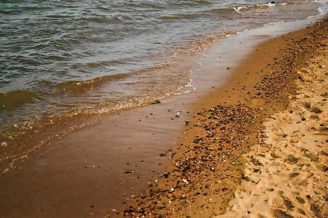 beach, park, nature, maryland