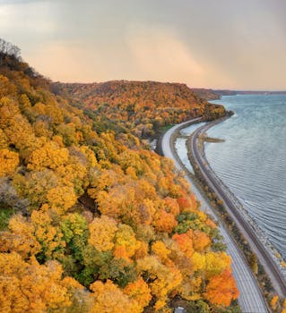 Stunning aerial view of vibrant autumn foliage and lake shore near Reads Landing, Minnesota at sunset.