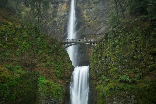 A breathtaking image of Multnomah Falls with a scenic bridge surrounded by lush greenery.
