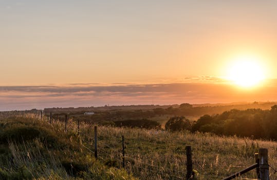 Serene view of sunrise illuminating rural Nebraska landscape with fields and trees.