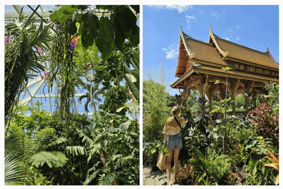 Olbrich Botanical Gardens.