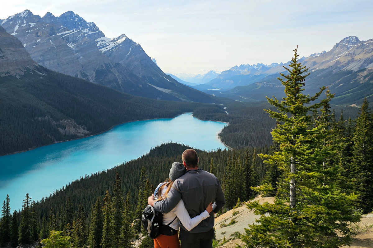 peyto lake.