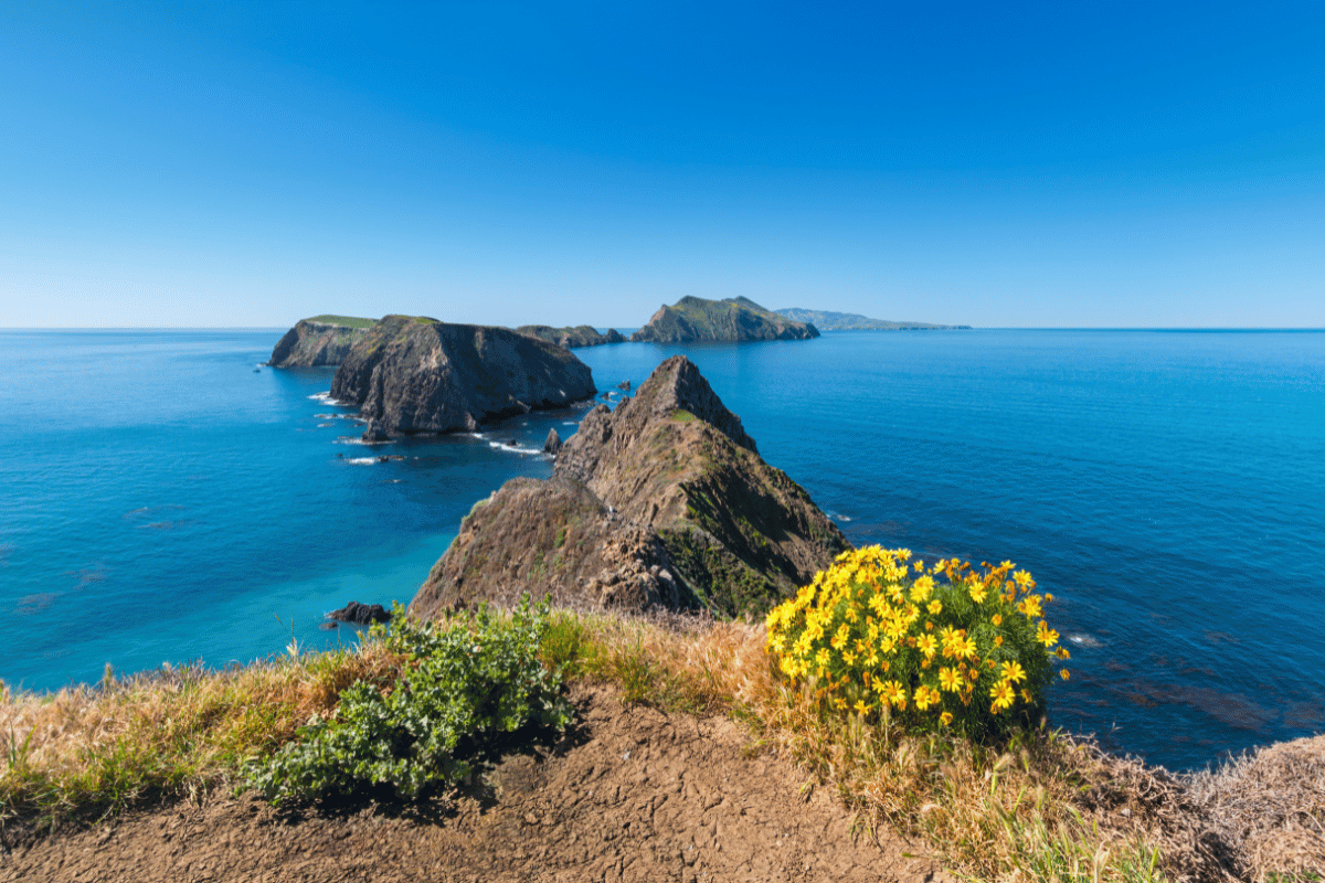 Channel Islands- National Parks to visit in the winter months in the united states featured image.