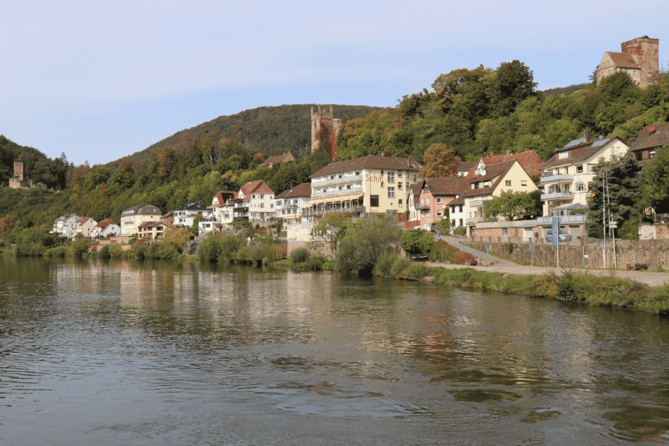 Neckar River with castles in the background. 
