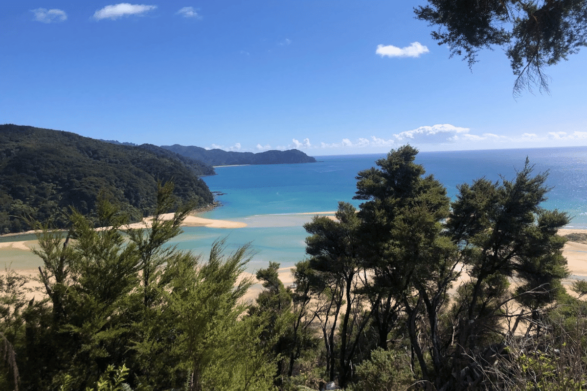 Best things to do near Nelson