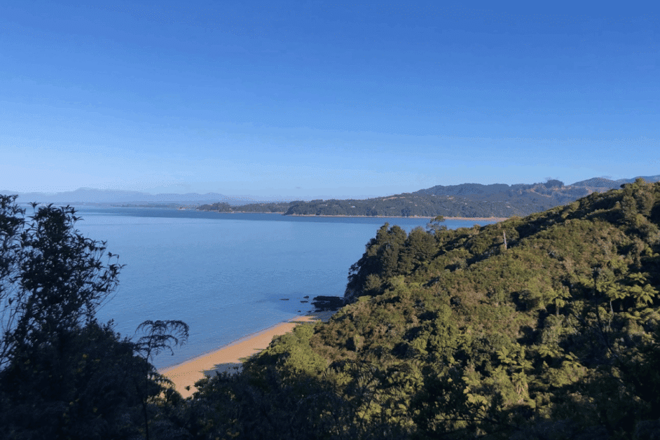 top things to do near nelson.