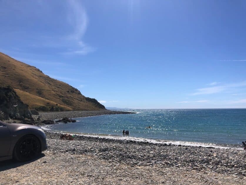 Cable Bay in the summer! Best things to do near Nelson.