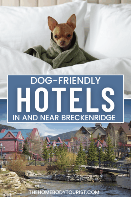 Dog-friendly hotels in breckenridge colorado pin for pinterest. 