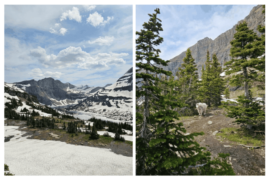 Hidden Lakes trailhead in Glacier National park. 