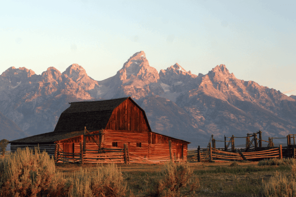 Mormon row at sunrise