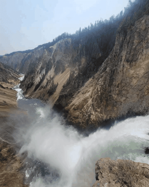 brink of the lower falls in yellowstone national park. 