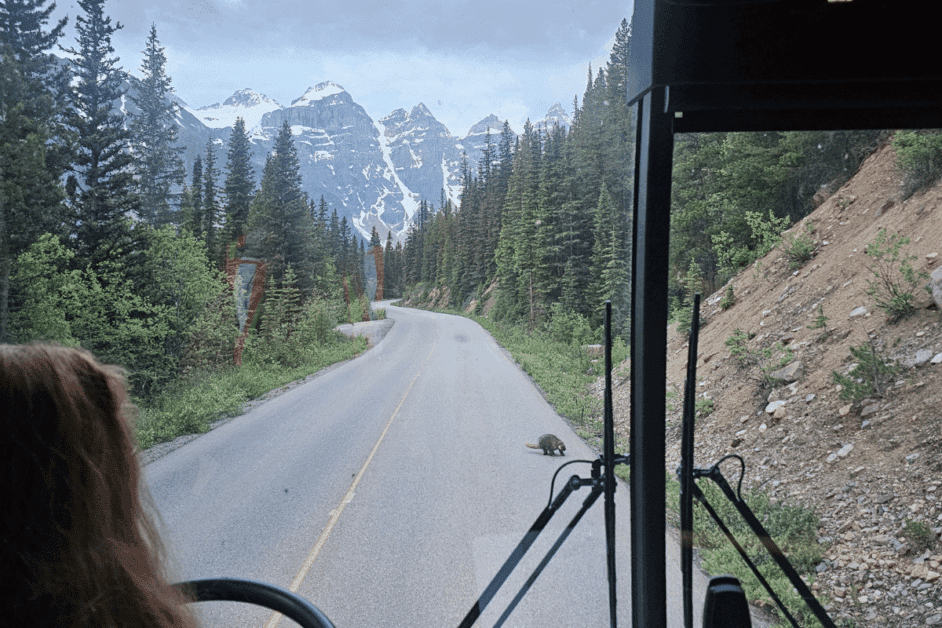 shuttle ride to moraine lake
