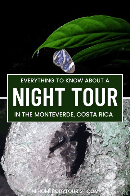 monteverde night tour pin for pinterest. 