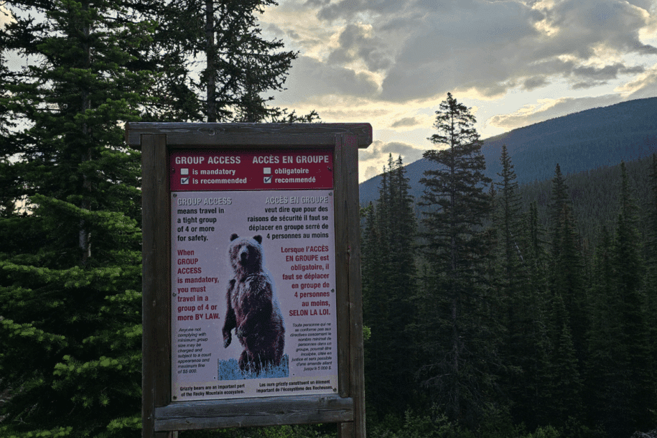 bear sign in banff