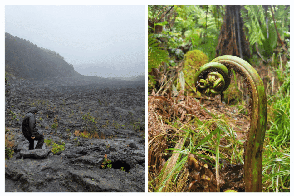 volcanoes national park. 