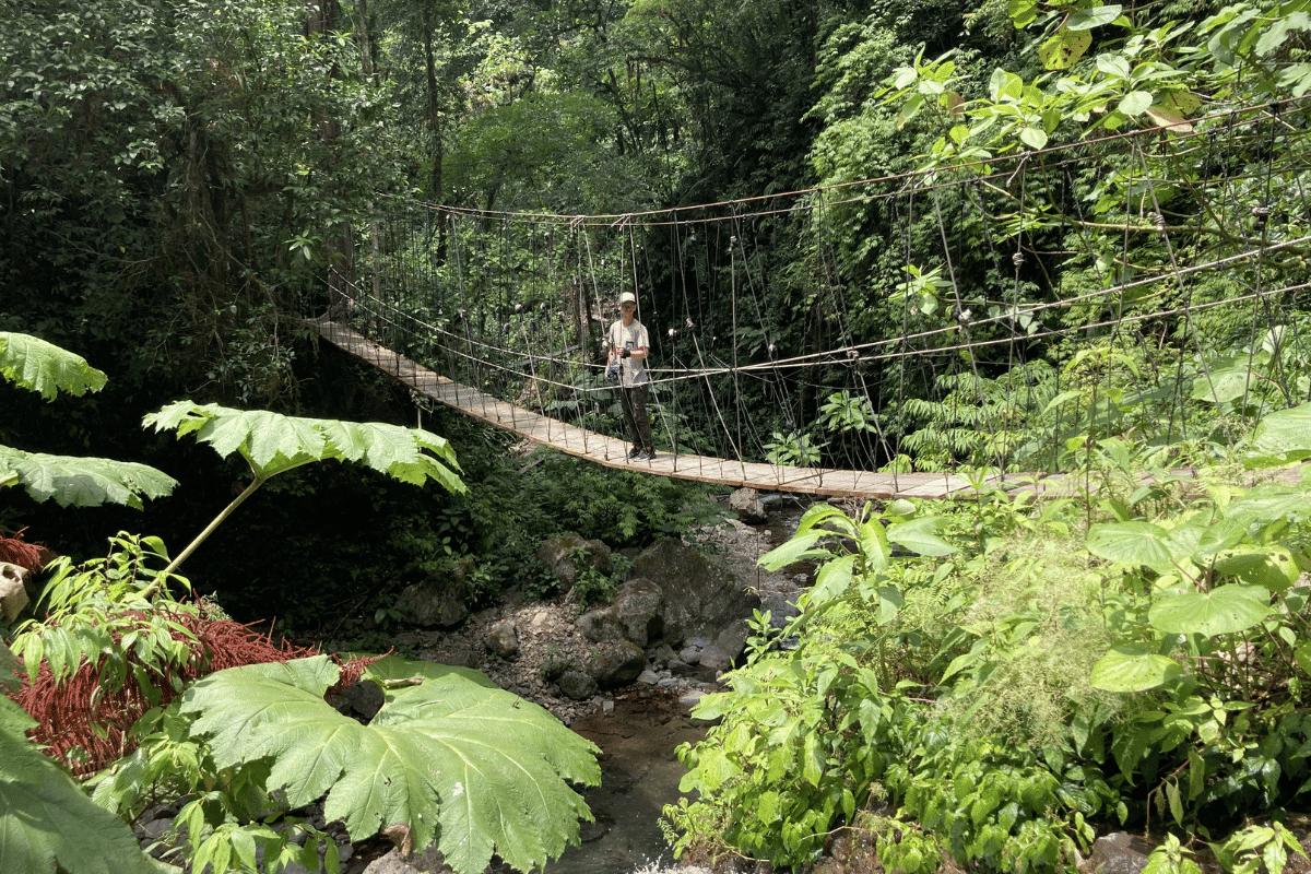 el tigre waterfalls and hike in monteverde.