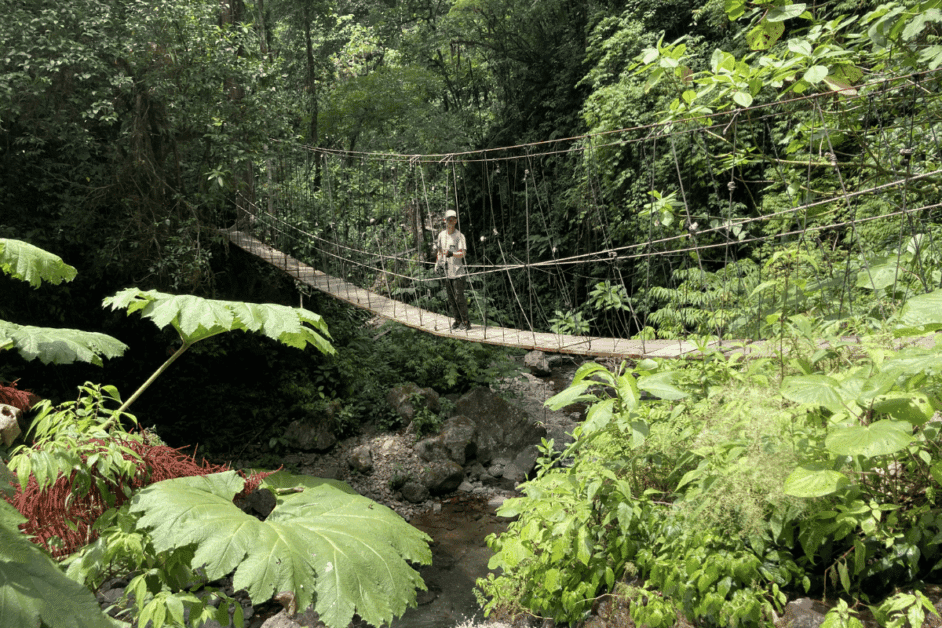 el tigre swinging bridge in Monteverde.