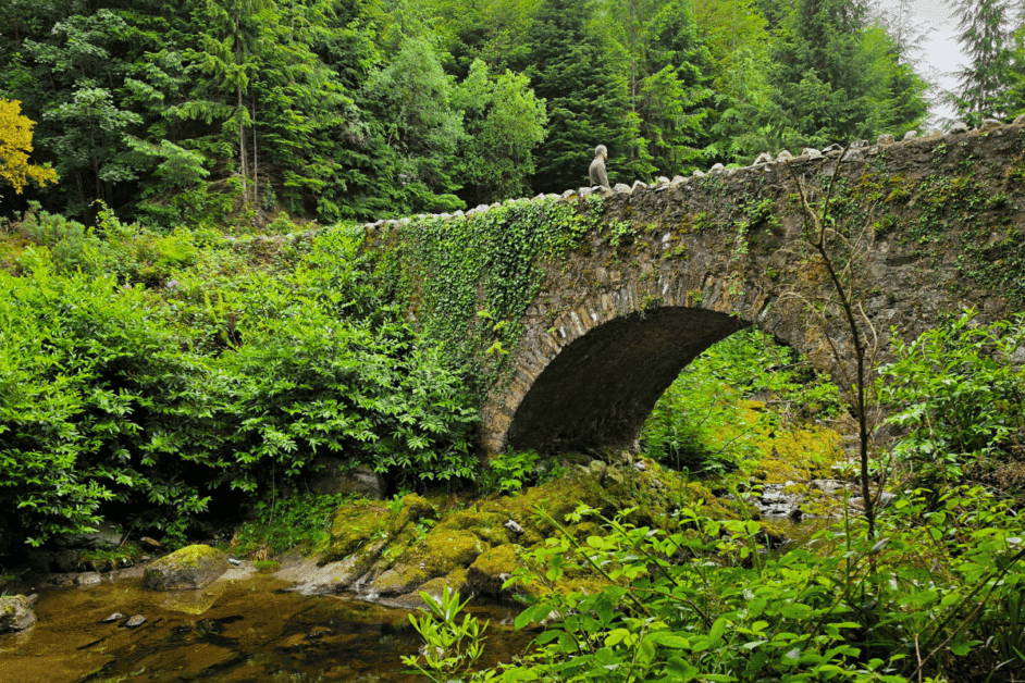 bridge in tollymore park. 