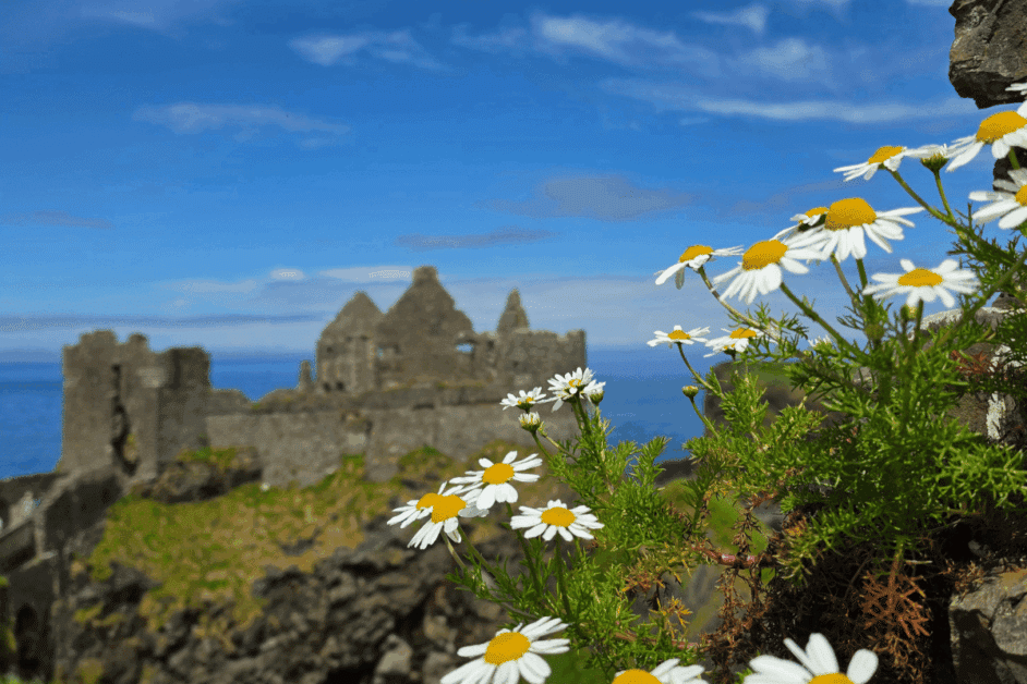 dunluce castle
