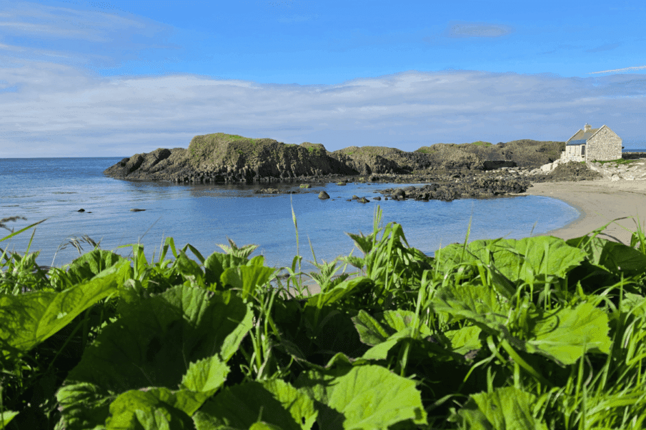 ballintoy harbor. 