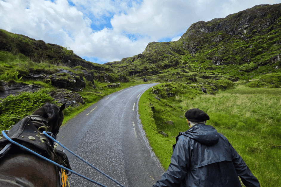 jaunting cart tour in killarney national park.