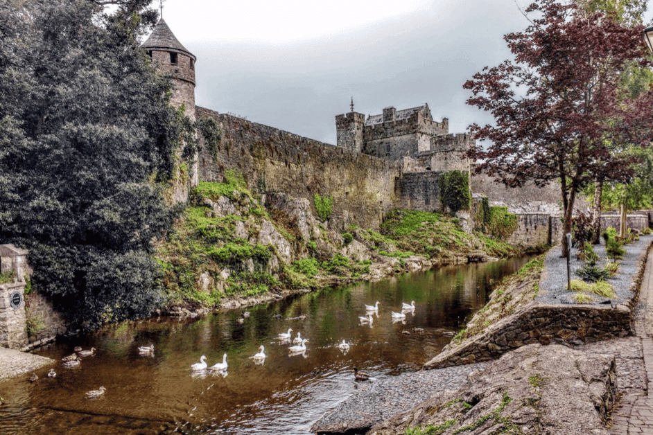 cahir castle with river and swans 