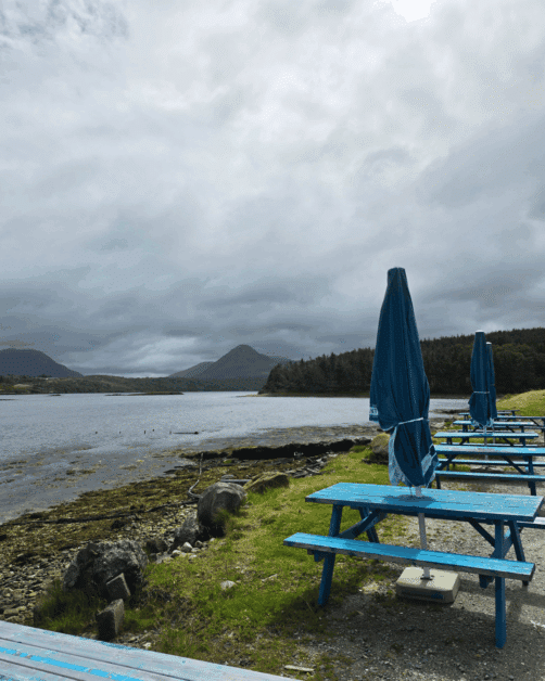 DK Oyster Tour in connemara ireland.