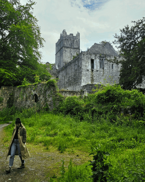 castles in ireland.