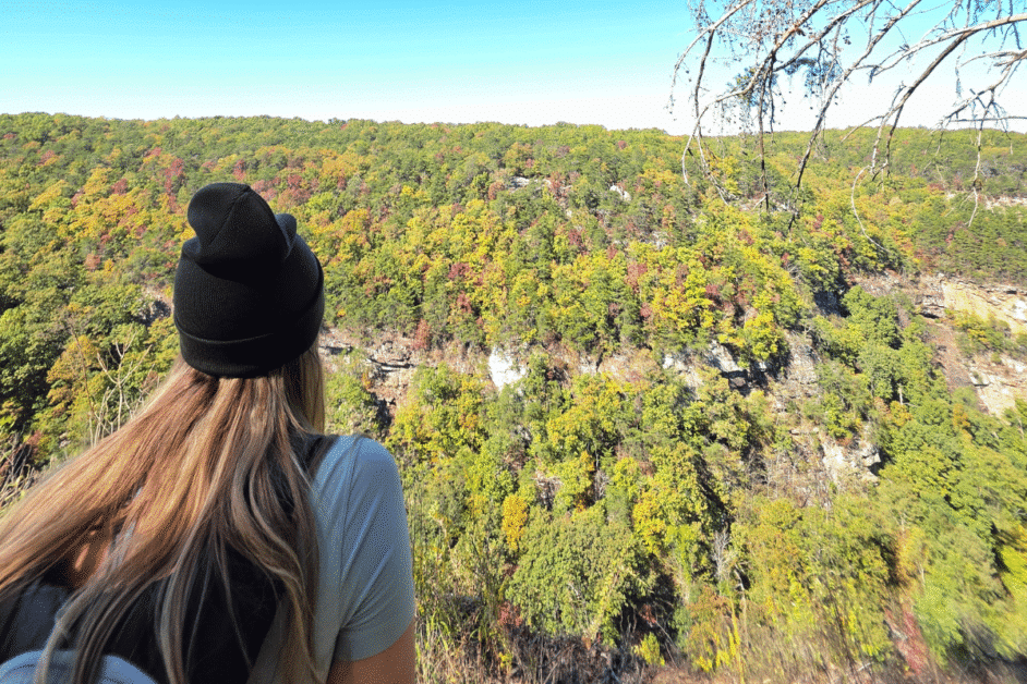 fall colors in cloudland canyon